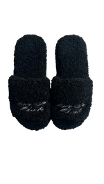 CHMBR FUR SLIDES