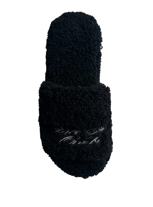 CHMBR FUR SLIDES