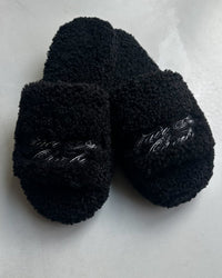 CHMBR FUR SLIDES